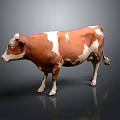Brown And White Cow Standing On Gray Background With Reflection 3d model