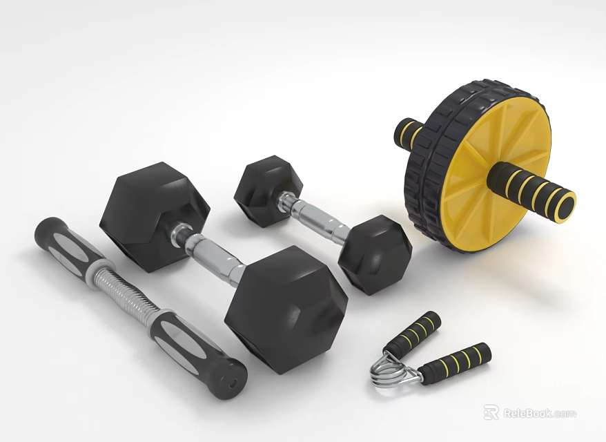 Home Gym Fitness Equipment Set Including Dumbbells Ab Roller And Hand Grips 3d model 