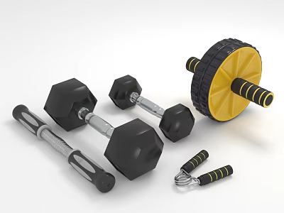 Home Gym Fitness Equipment Set Including Dumbbells Ab Roller And Hand Grips 3d model