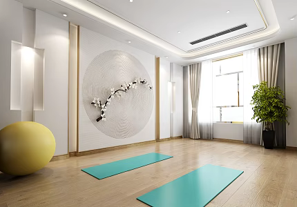 Zen Chinese Yoga Club Private Teaching Mural Equipment 3d model