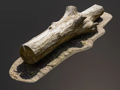 Natural Wooden Log Placed On Stone Base With Small Moss And Pebbles 3d model
