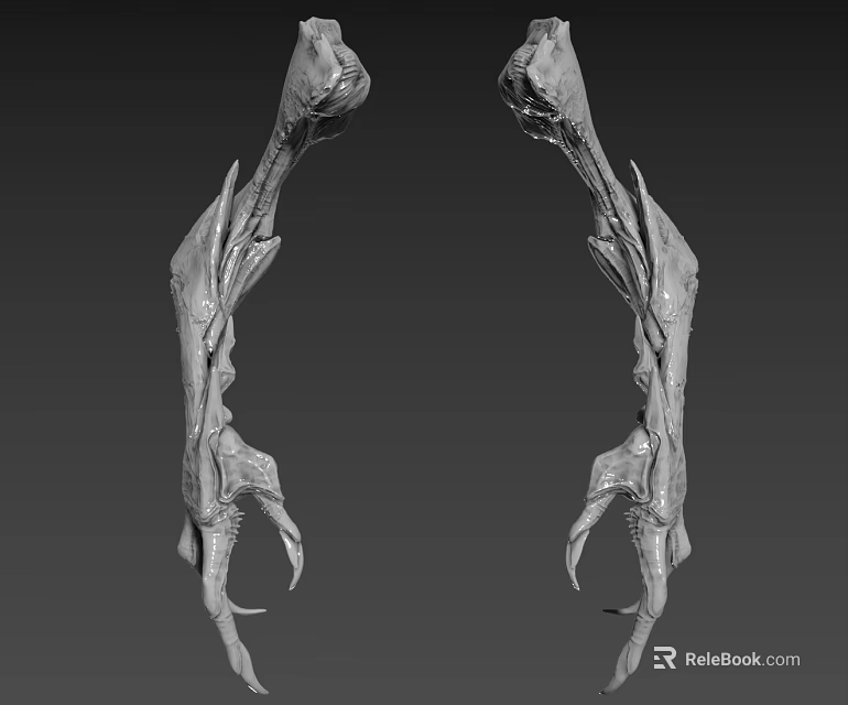 Mysterious Fantasy Creature Limbs With Skeletal Structure And Textured Claws Design 3d model 
