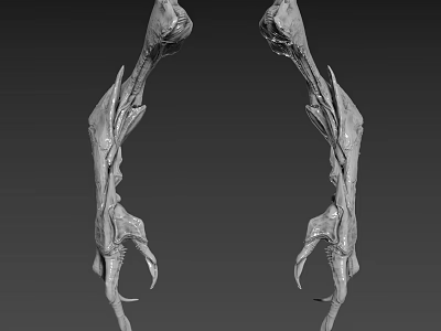 Mysterious Fantasy Creature Limbs With Skeletal Structure And Textured Claws Design 3d model