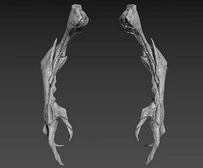Mysterious Fantasy Creature Limbs With Skeletal Structure And Textured Claws Design 3d model