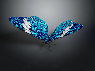 Stunning Blue And White Patterned Butterfly With Vibrant Detailed Wings 3d model