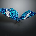 Stunning Blue And White Patterned Butterfly With Vibrant Detailed Wings 3d model