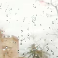 Raindrops On Window Glass With Blurred Outdoor Background View