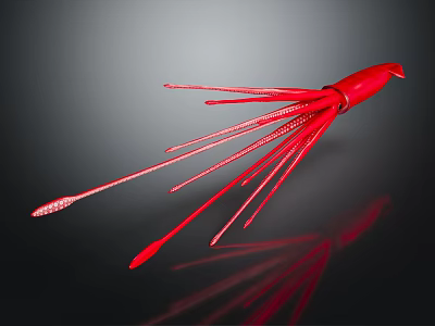 Red Squid With Long Tentacles On Dark Reflective Background Surface 3d model