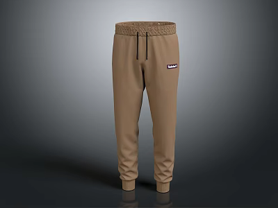 Khaki Casual Jogger Pants With Drawstring Waist And Slim Fit Design 3d model