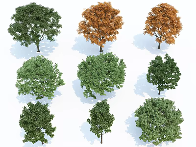 Various Arbor Trees With Different Foliage Colors And Natural Shapes 3d model