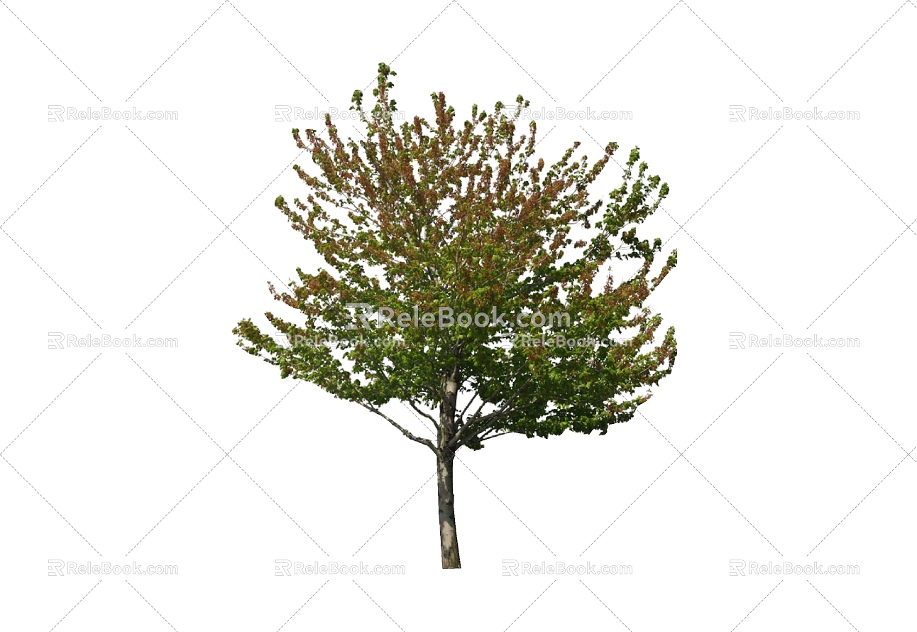 Tree 3d model