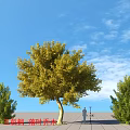 Trident Maple Deciduous Tree with Surrounding Saplings Blue Sky and Figures 3d model