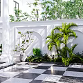 Elegant Garden Landscape With Black Iron Gate White Walls Shaped Tree And Checkered Path