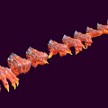 Red And Orange Flame Textured Claw Shaped Decorative Home Living Accessories