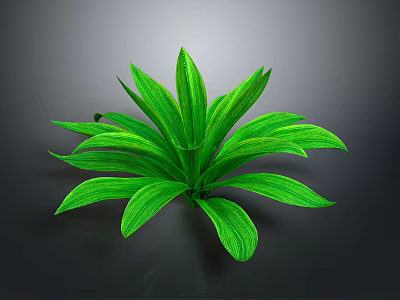 Lush Green Leafy Plant With Vibrant Shiny Leaves On Dark Background 3d model
