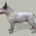 Realistic White Bull Terrier Dog Standing With Tongue Out On Gray Background