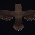 Owl With Spread Wings And Red Eyes Against Black Background