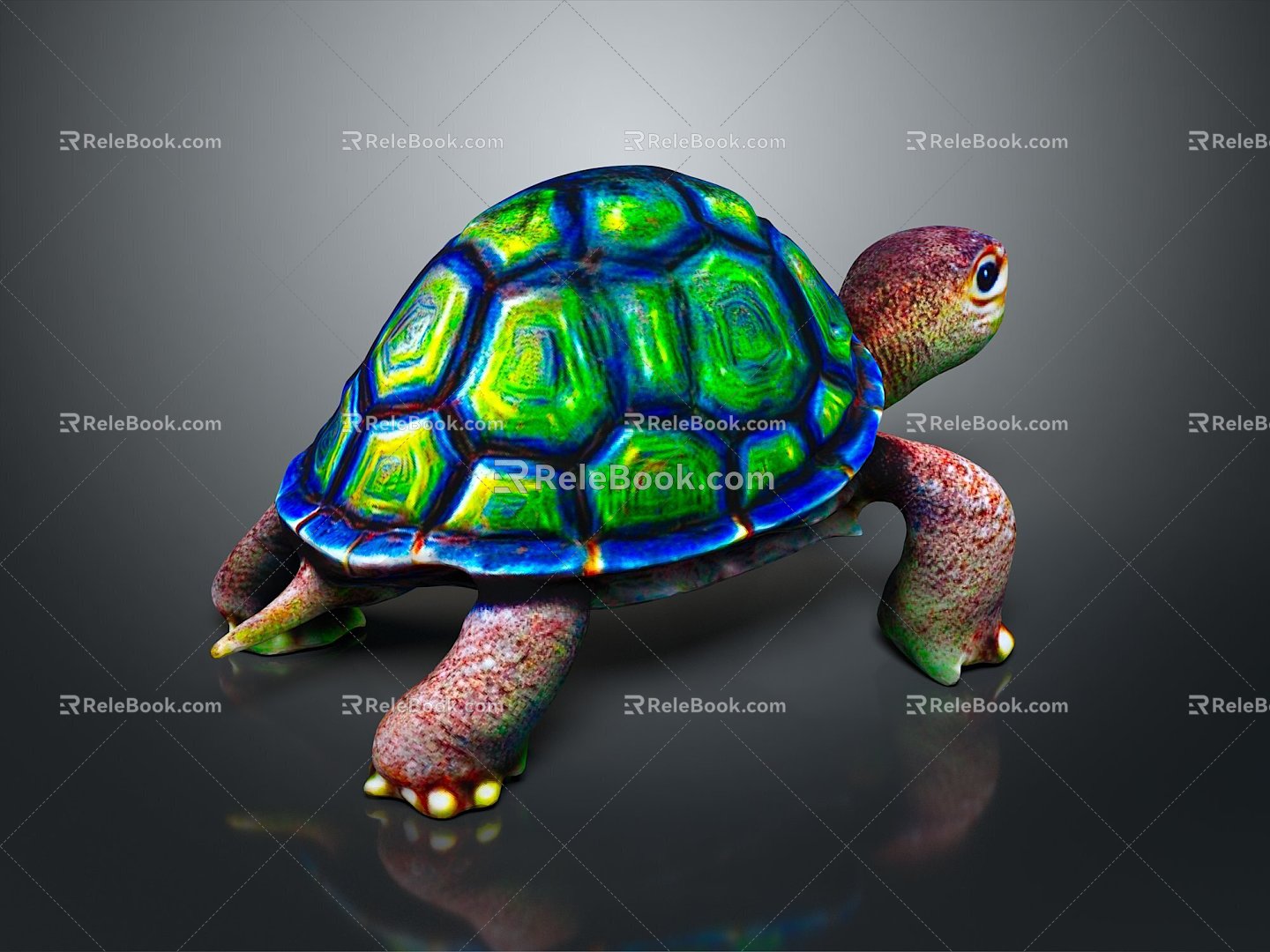 Turtle Turtle Cartoon Turtle Snapping Turtle Chickbill Turtle Reptile Cold Blooded Animal Reptile Reptile Class 3d model