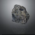Natural Wooden Stone with Porous Surface Multicolor Texture and Shiny Reflective Finish