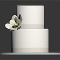 Two Tiered White Cake With White Flower Decoration On Silver Round Tray