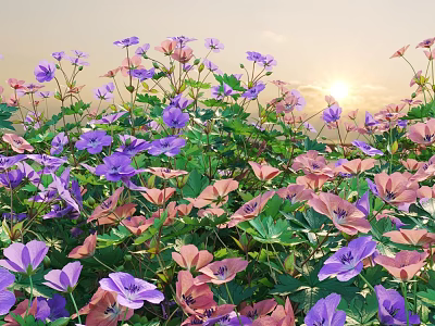 Colorful Garden Flowers With Purple Pink Blooms And Green Leaves At Sunset 3d model