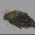 Natural Compost Pile With Twigs Fallen Leaves Soil And Green Plants