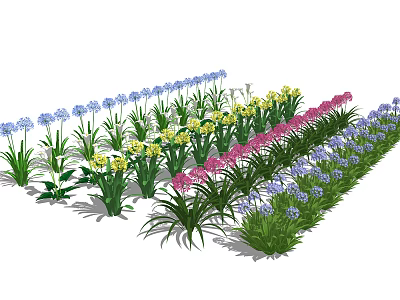 Modern Flower Landscape Horticultural Shrubs Flowers and Plants Flower Border Plants Calla lily Baizilian Green Plant 3d model