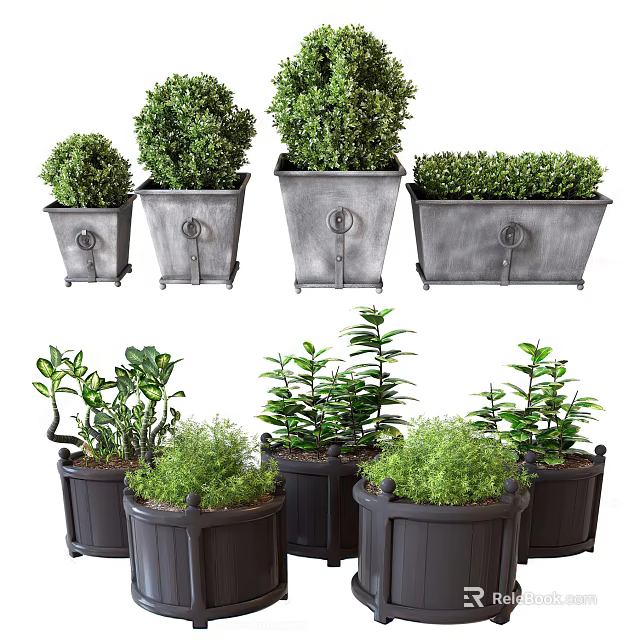 Bonsai Potted Plants With Evergreen Shrubs In Metal And Dark Colored Planters 3d model 