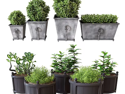 Bonsai Potted Plants With Evergreen Shrubs In Metal And Dark Colored Planters 3d model
