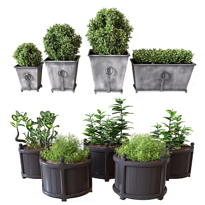 Bonsai Potted Plants With Evergreen Shrubs In Metal And Dark Colored Planters 3d model