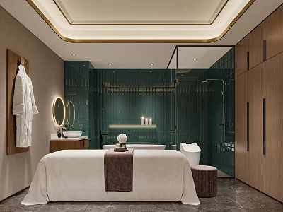 Luxurious SPA Sauna Room With Green Tiled Wall And Wooden Cabinets 3d model