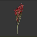 Decorative Red Chili Peppers With Green Stems On Grey Background For Home Use
