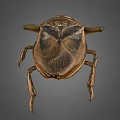 Giant Water Bug Detailed View With Brown Exoskeleton And Long Legs 3d model