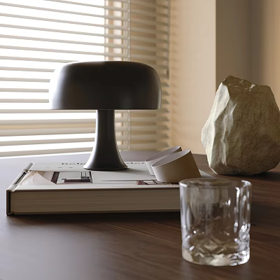 Black Table Lamp On Wooden Table With Large Book Stack Of Papers And Decorative Stone 3d model