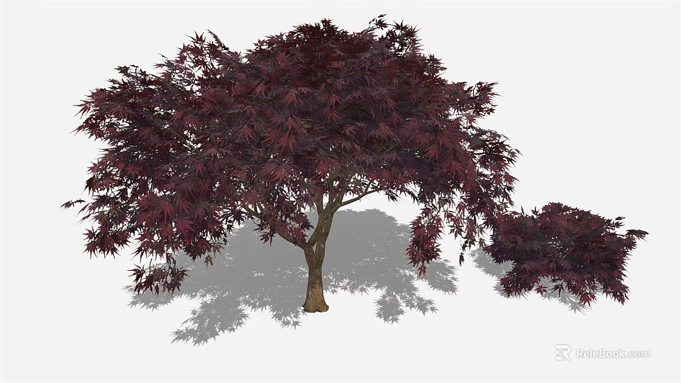 Crimson Leaf Maple Tree With Brown Trunk And Smaller Companion Plant 3d model 