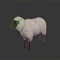 Fluffy White Sheep With Black Head And Legs Standing Against Gray Background