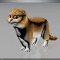 Cute Orange and White Scottish Fold Cat Standing on Dark Reflective Surface 3d model