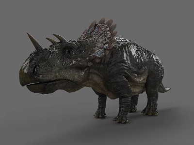 Realistic Triceratops Reptile 3D Model With Sharp Horns Ornate Frill And Detailed Skin Texture 3d model