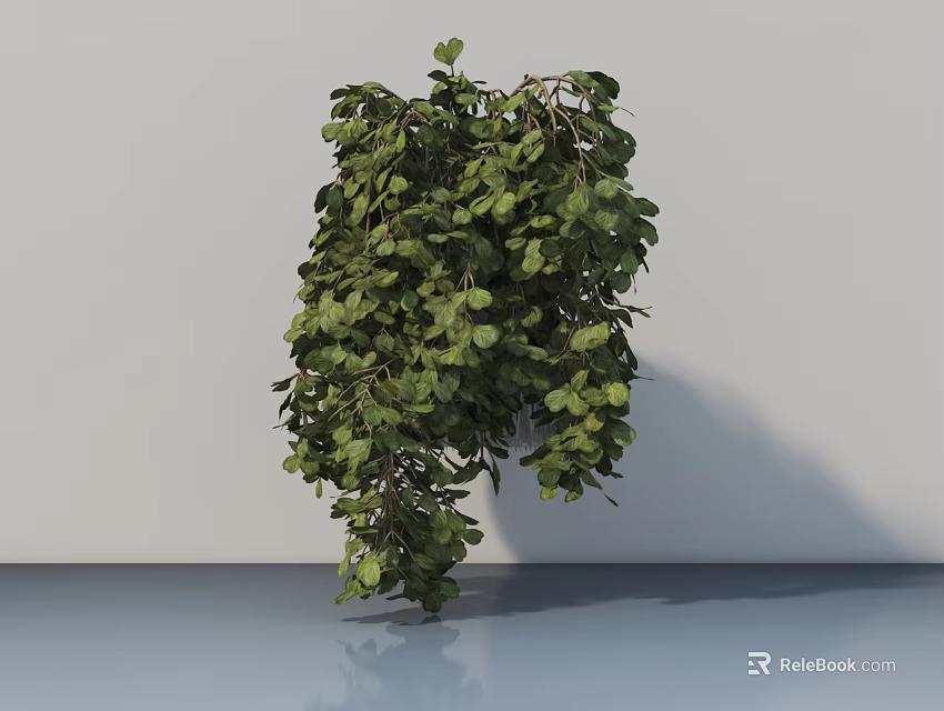 Bonsai Potted Plant with Lush Green Leaves and Hanging Branches on Light Colored Floor 3d model 