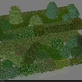 Neatly Arranged Ornamental Shrubs With Various Shapes And Diverse Green Foliage In Garden Landscape