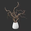 Elegant Bonsai Potted Plant in White Vase with Curved Branches against Dark Blue Background