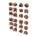Cartoon Head Models With Various Brown Hairstyles Bowknots Ponytails And Decorative Details