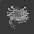 Realistic Brown Crab With Natural Shell Claws And Legs 3d model