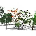 Modern Trees 3d model