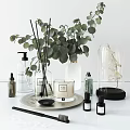 Modern Bathroom Accessories With Aromatherapy Diffuser Candle Hand Soap Dispenser And Decorative Plants 3d model