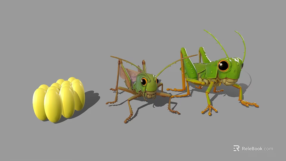 Realistic 3D Grasshopper Models With Detailed Green Bodies And Clustered Yellow Eggs 3d model 