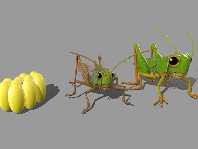 Realistic 3D Grasshopper Models With Detailed Green Bodies And Clustered Yellow Eggs 3d model