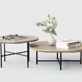 Modern Round Wooden Coffee Table With Black Metal Legs And Decorative Books Plant