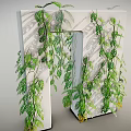 Lush Green Vines Growing On White Structure With Hanging Leaves And Small Yellow Flowers