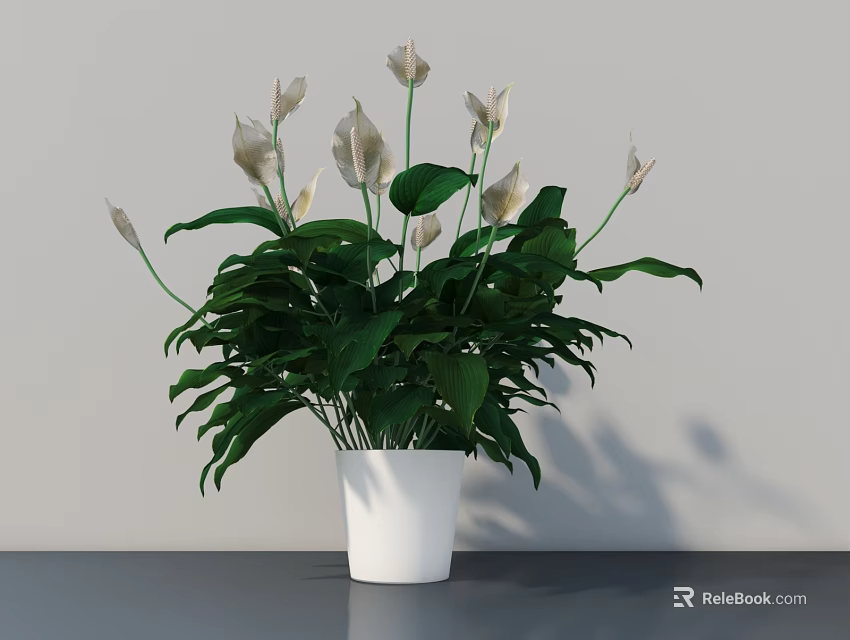 Lush Indoor Potted Plant With Green Leaves And White Flowers In White Pot 3d model 
